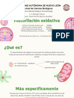 Fosforilación Oxidativa