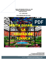 Proyecto de Visita Guida TOLUCA