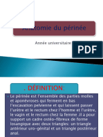 Fichier Produit 2194