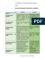 2.3 Tipo de Contaminación Ambienta