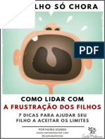 Ebook Como Lidar Com A Frustracao - 2022 Maira Soares