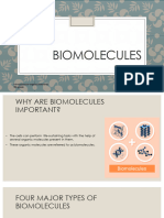 Biomolecules Final