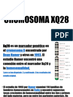 CROMOSOMA Q28