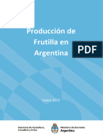 Producción de Frutilla en Argentina: Enero 2023