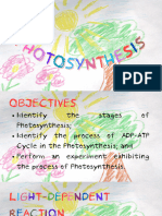 Photosynthesis LDR