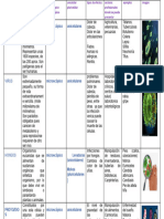 Agentes biológicos cuadro comparativo