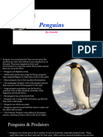Penguins - a short description