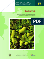 FJAC23 Bataceae