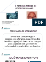 Hongos representativos en infecciones humanas  I ENF 16 abril 2024