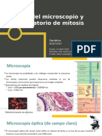 Microscopio&Mitosis