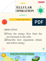 5eal Cellular Respiration