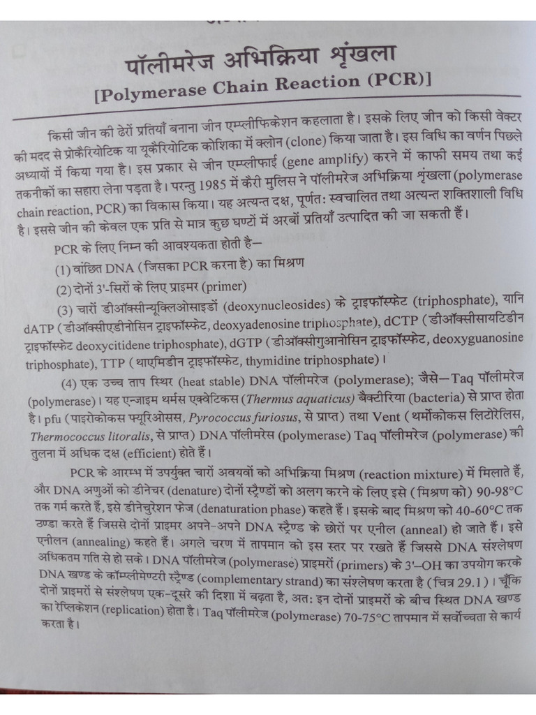 polymerase chain reaction PCR | PDF