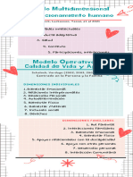 Infografía Modelos Multidimensional y Operativo