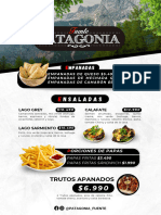 Carta Corta Patagonia Compressed