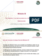 Orientaciones Trabajo Final Modulo III V3