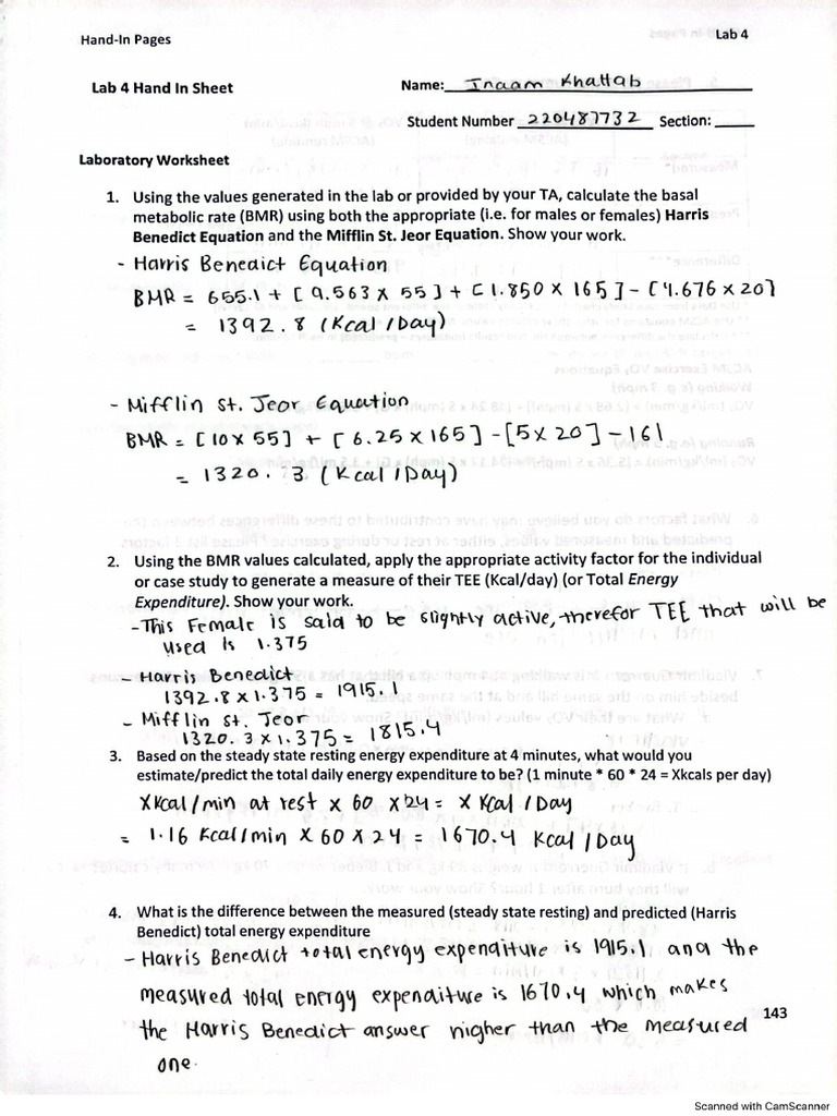 Lab 4 Worksheets | PDF