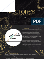 Clasificacion de Vectores