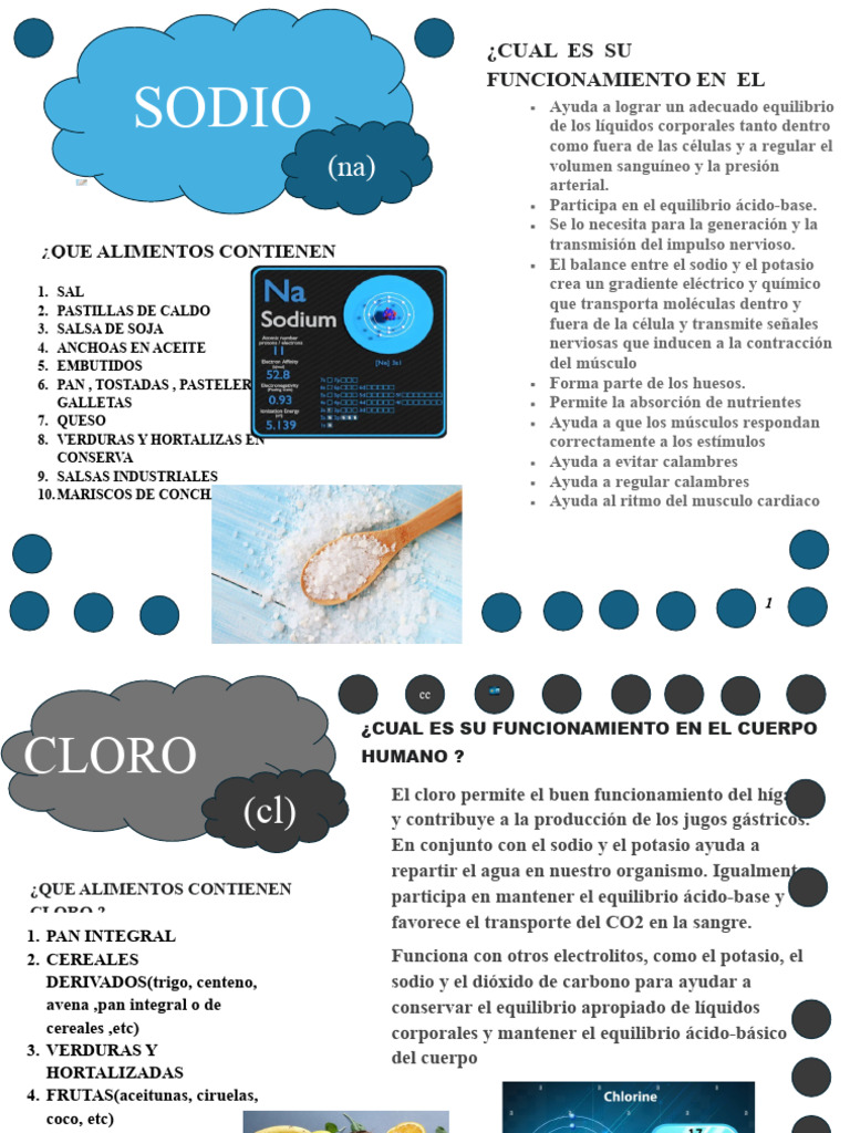 Minerales Esenciales y Su Función en el Cuerpo | PDF | Sodio | Potasio