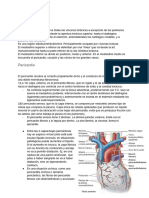 Anatomía Cardíaca para Estudiante Libro Moore