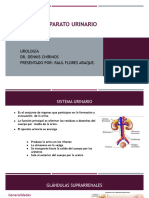 Urologia LL Periodo 2024