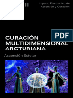 2 - Nivel 2 - Curación Multidimensional Arcturna