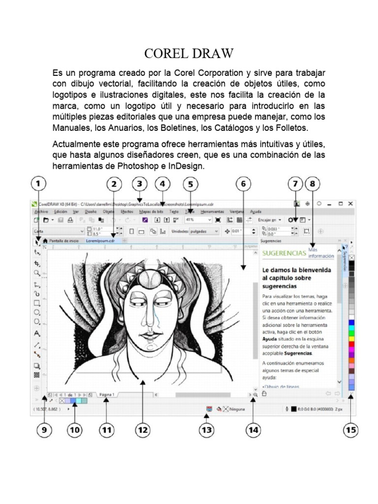 Corel Draw X5 2010 | PDF | Ventana (informática) | Dibujo