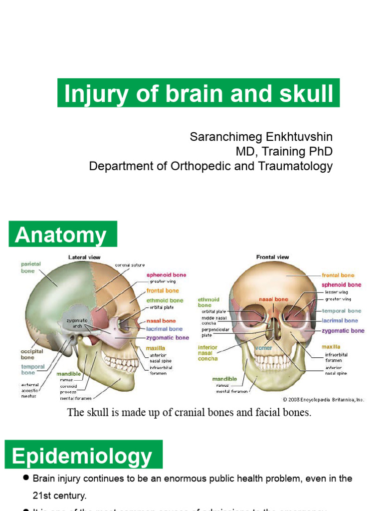 Injury of Brain and Skull | PDF | Concussion | Causes Of Death