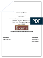 AMIR INTERNSHIP FILE