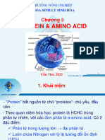 Chapter 3 - Protein & Amino Acid