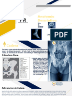 Anatomía Descriptiva Deber2