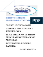 Dirección de fibras musculares y contracción muscular.biomecanica