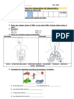 Evaluacion Integradora de Diagnostico