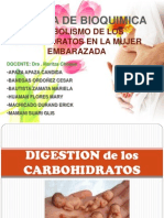 Metabolismo de Los Carbohidratos