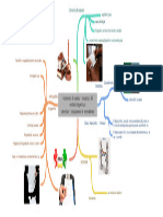 Elementos de Validez y Existencia Del Contrato de Permuta - Derechos y Obligaciones de Permutantes