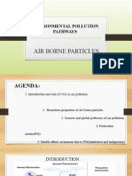 Environmental Pollution Pathways: Air Borne Particles
