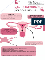 Anatomía y Fisiología Sexual