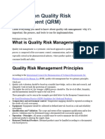 A Guide on Quality Risk Management