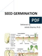 9 Seed Germination