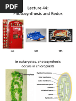 Lecture 44 Slides No Animations