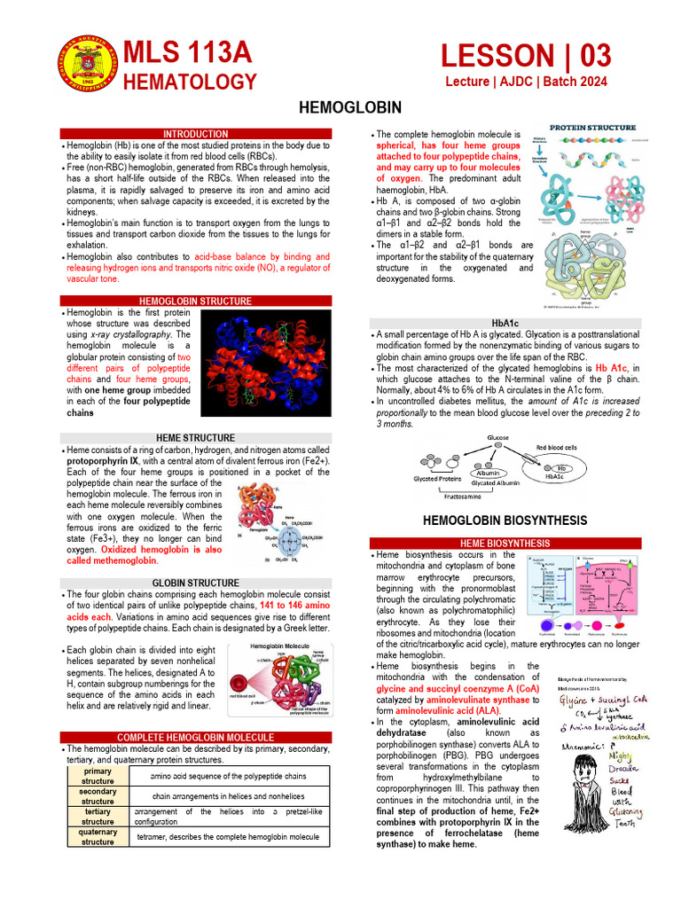 Week 3 Hemoglobin Pdf Hemoglobin Red Blood Cell