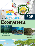Ecosystem-Mangroove Swamp