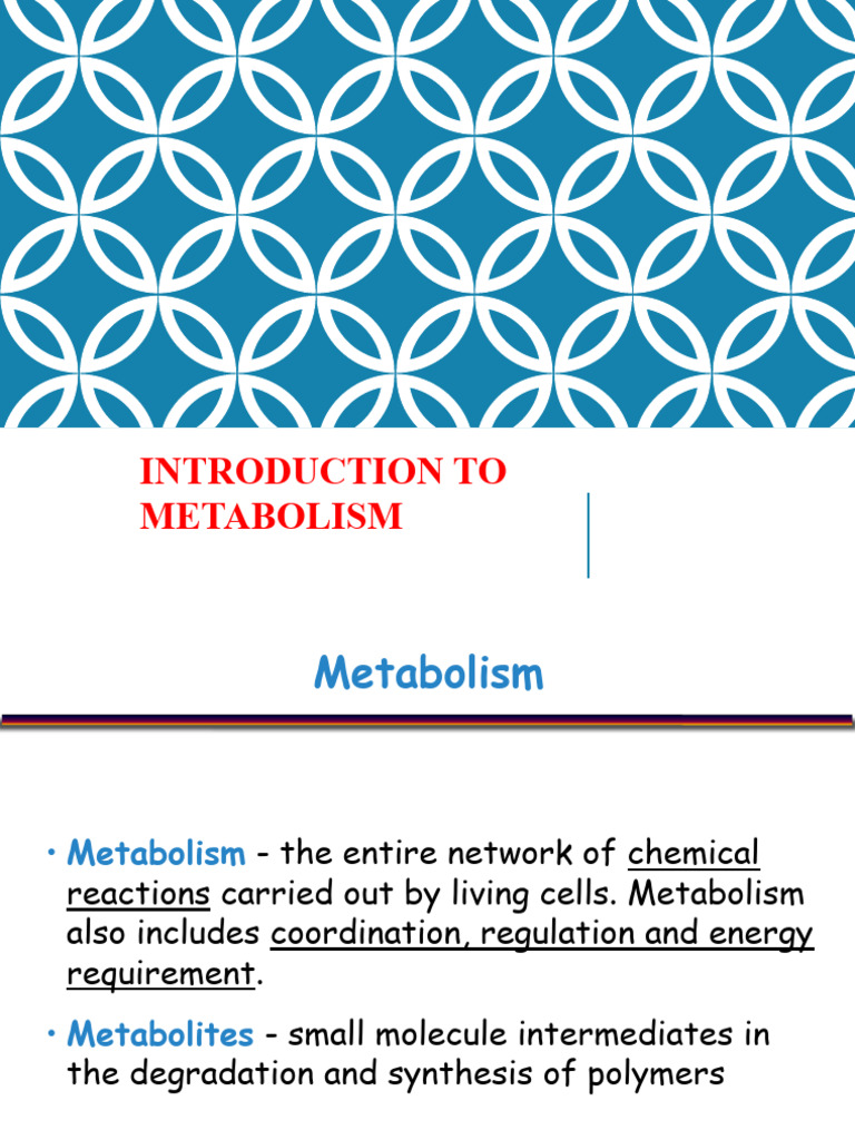 Overview of Metabolism and Pathways | PDF | Metabolic Pathway | Metabolism