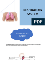 Ppt-Grade 9 - Respiratory System