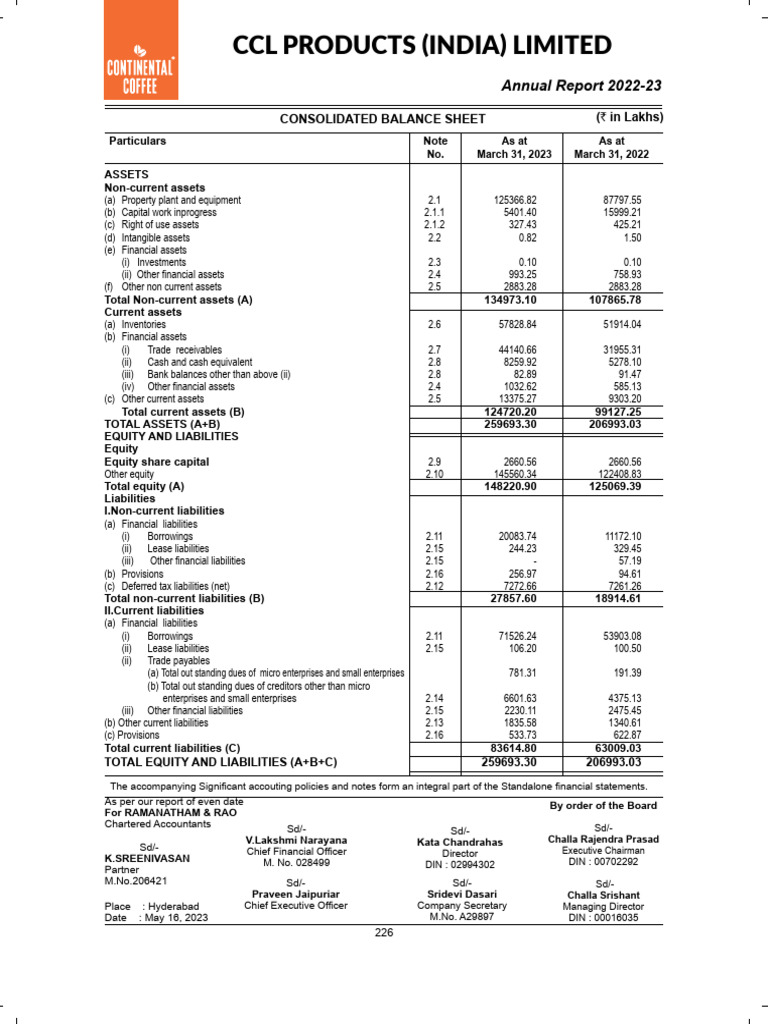 annual-report-2022-20283-download-free-pdf-expense-equity-finance