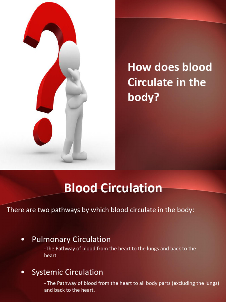 Ppt-Grade 9 - Blood Circulation | PDF | Heart | Artery