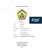 5 - E1b021002 - Rozalina Dwiputri Laporan Praktikum Identifikasi Senyawa Organik