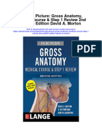 The Big Picture Gross Anatomy Medical Course Step 1 Review 2Nd Edition Edition David A Morton Full Chapter