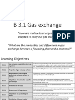 B 3.1 Gas Exchange
