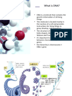 DNA_Discovery_Presentation