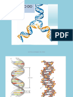 2REPLICAÇÃO DNA BIO11 Unidade 1